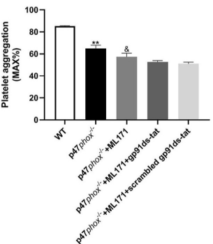 Experimental Validation Results for ML171