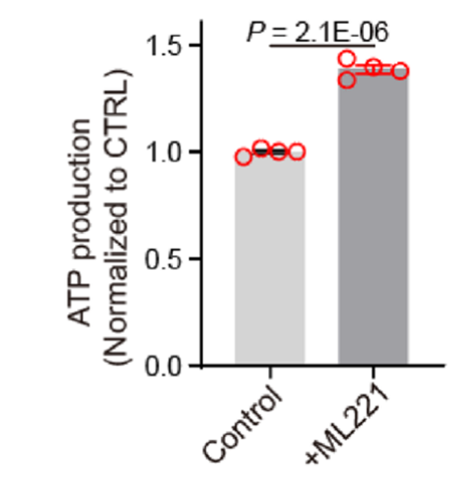 Experimental Validation Results for ML221