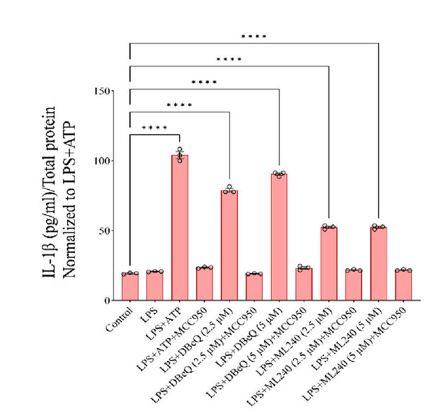 Experimental Validation Results for ML240
