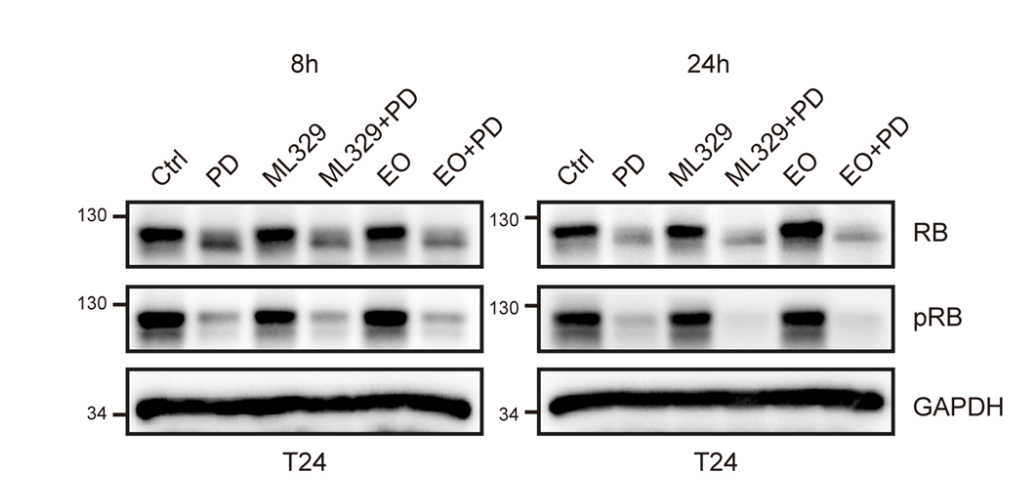 Experimental Validation Results for ML329