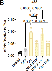 MRTX1133 | KRAS G12D Inhibitor | MedChemExpress