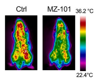 Experimental Validation Results for MZ-101