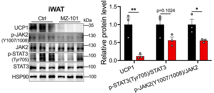 Experimental Validation Results for MZ-101