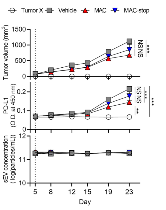 Experimental Validation Results for Macitentan
