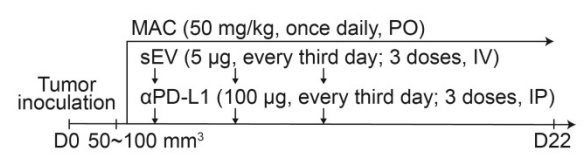 Experimental Validation Results for Macitentan