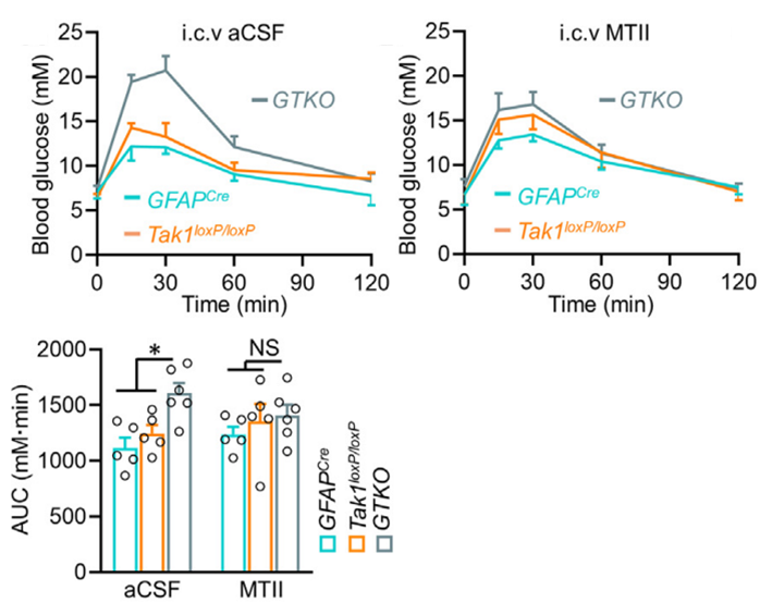 Experimental Validation Results for Melanotan (MT)-II acetate