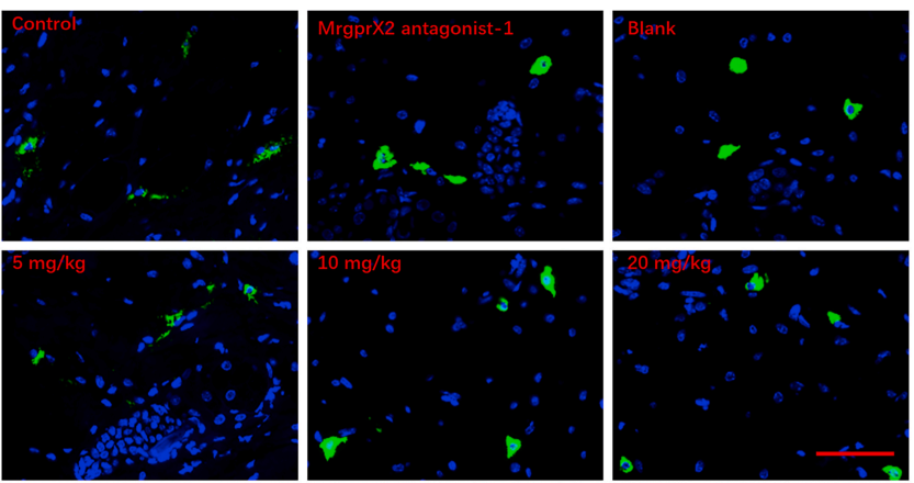 MrgprX2 antagonist-1 | MrgprX2 Antagonist | MedChemExpress