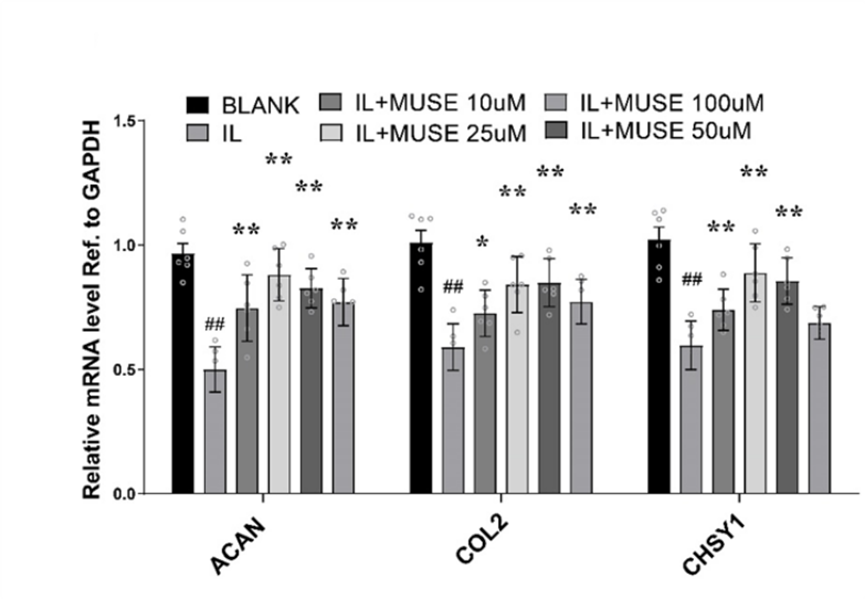Experimental Validation Results for Muscone