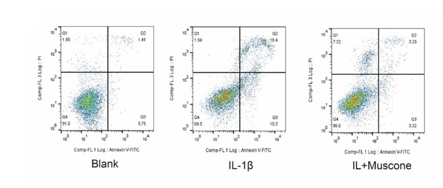 Experimental Validation Results for Muscone
