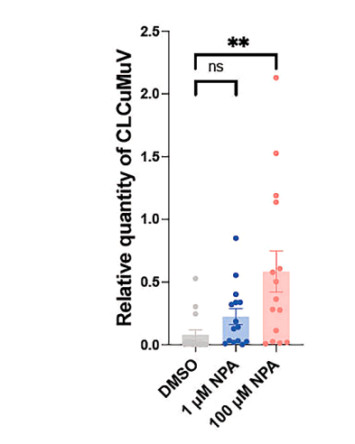 Experimental Validation Results for N-1-Naphthylphthalamic acid