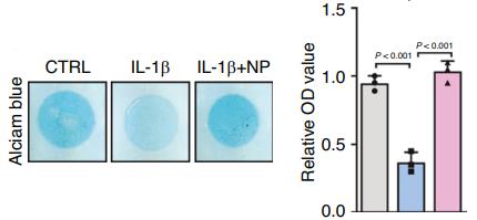 Experimental Validation Results for NP-G2-044