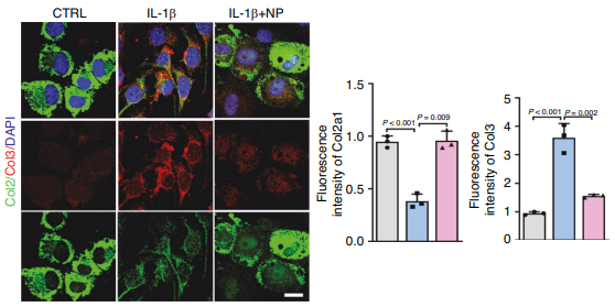 Experimental Validation Results for NP-G2-044