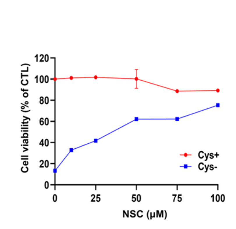 Experimental Validation Results for NSC 15364