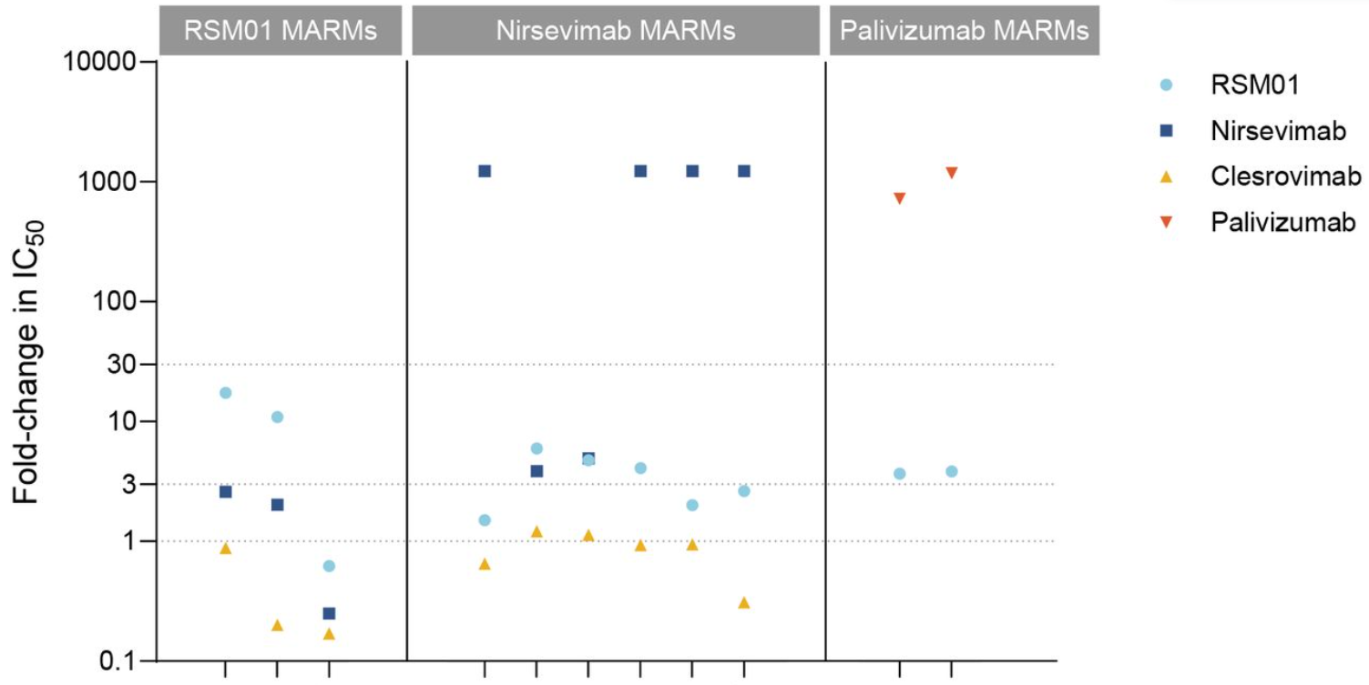 Experimental Validation Results for Nirsevimab