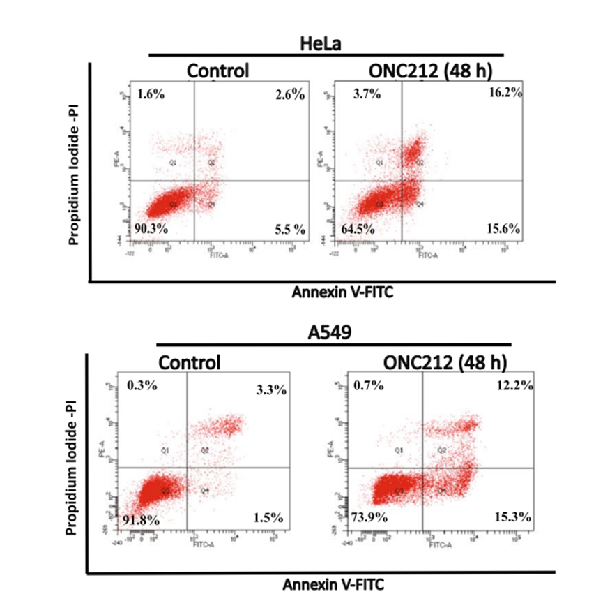 Experimental Validation Results for ONC212