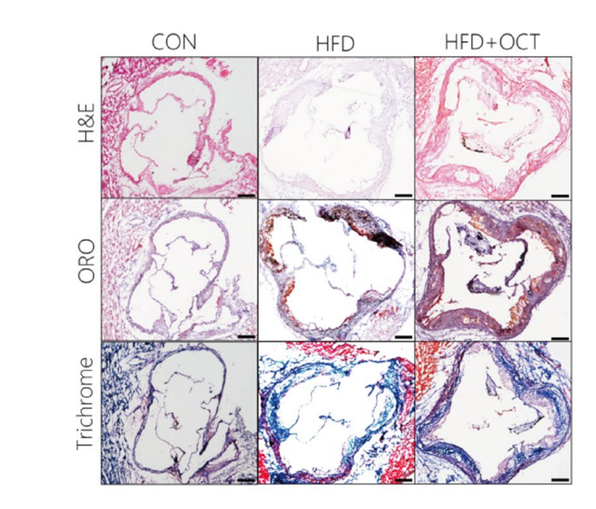 Experimental Validation Results for Octanal