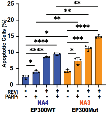 Experimental Validation Results for Olaparib