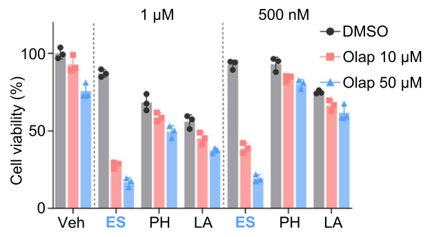 Experimental Validation Results for Olaparib