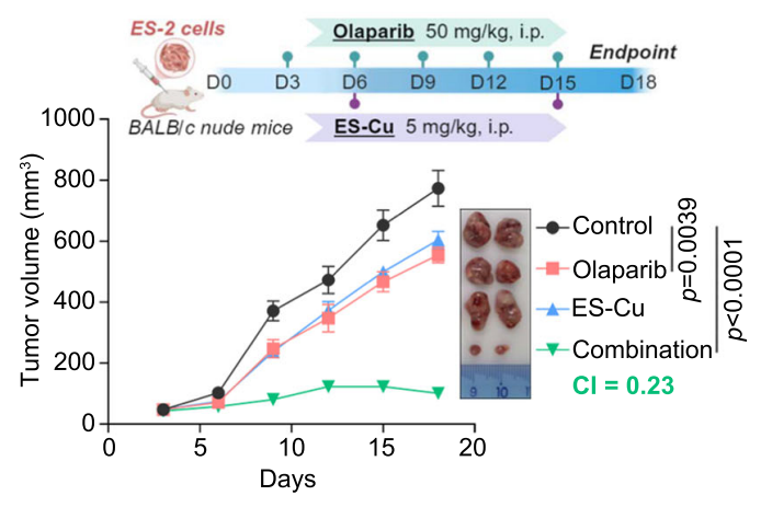 Experimental Validation Results for Olaparib