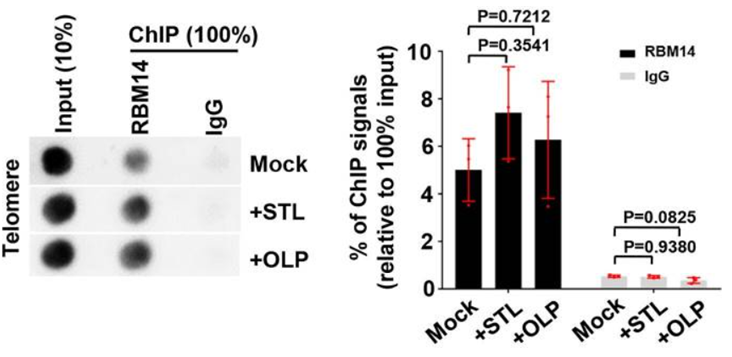 Experimental Validation Results for Olaparib