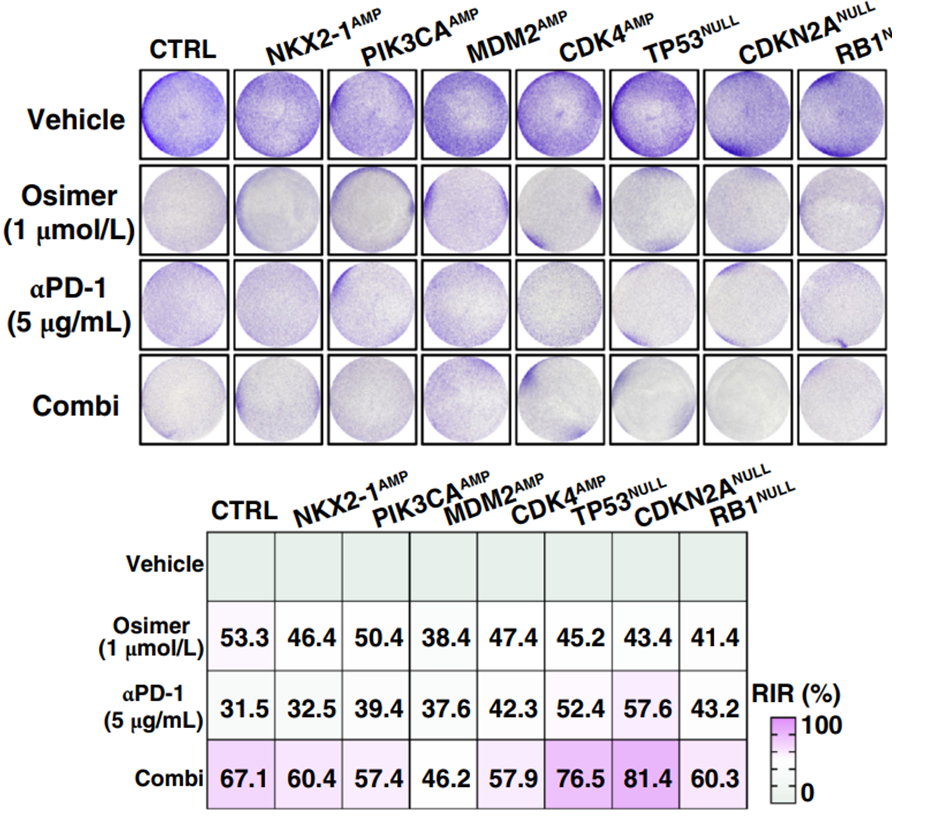 Experimental Validation Results for Osimertinib mesylate