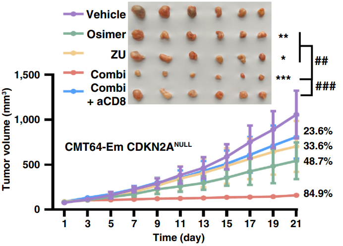 Experimental Validation Results for Osimertinib mesylate