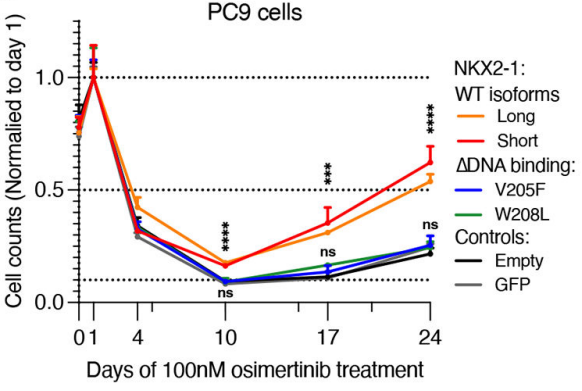 Experimental Validation Results for Osimertinib mesylate
