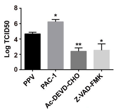 Experimental Validation Results for PAC-1