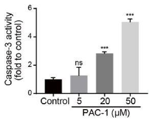 Experimental Validation Results for PAC-1