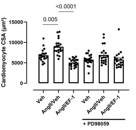 Experimental Validation Results for PD98059