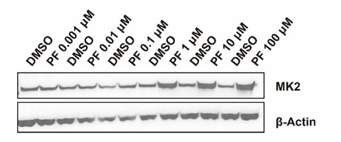 Experimental Validation Results for PF-3644022