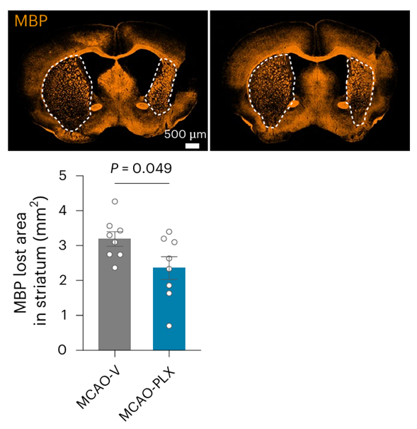 Experimental Validation Results for PLX5622