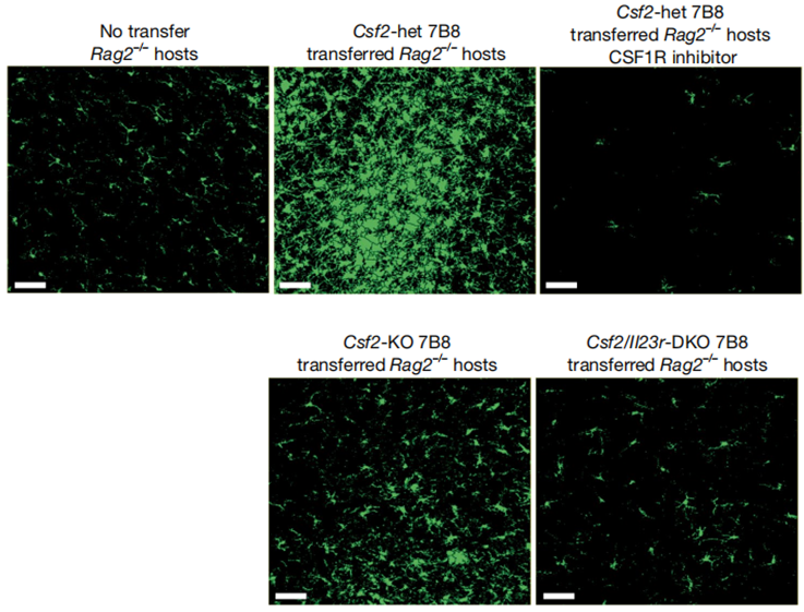 Experimental Validation Results for PLX5622