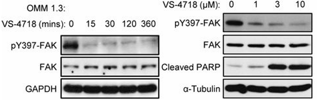 Experimental Validation Results for PND-1186 hydrochloride