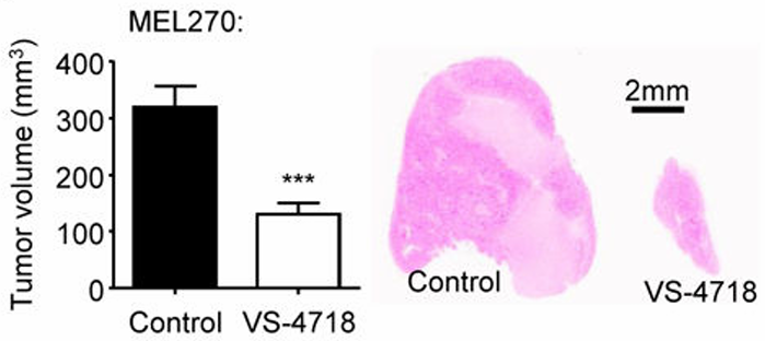 Experimental Validation Results for PND-1186 hydrochloride