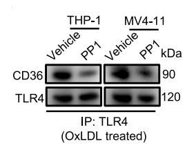 Experimental Validation Results for PP1