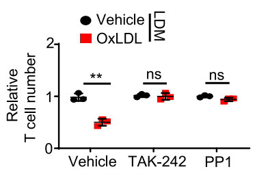 Experimental Validation Results for PP1