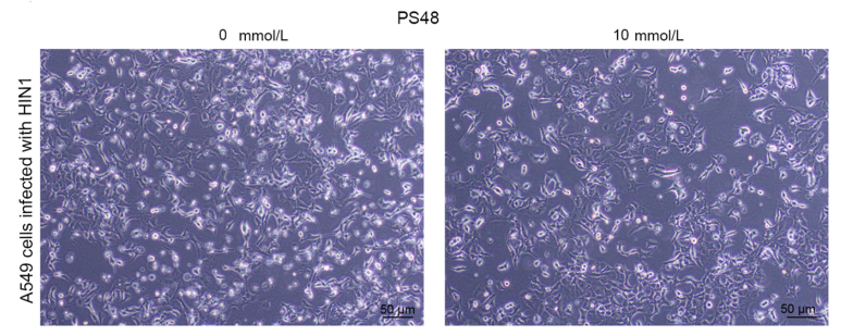 Experimental Validation Results for PS48