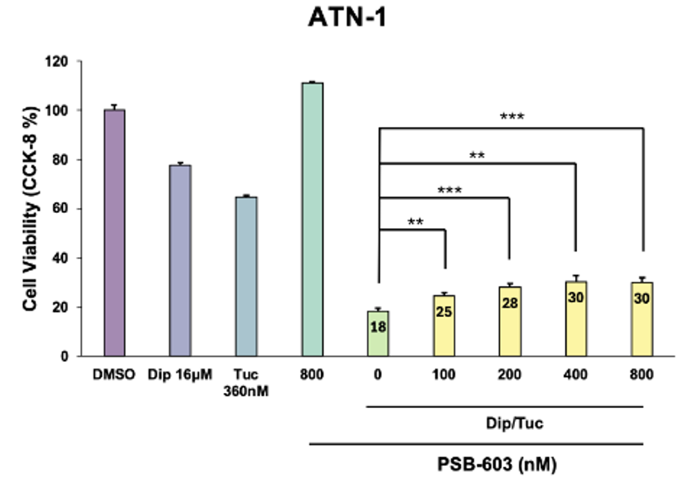 Experimental Validation Results for PSB-603