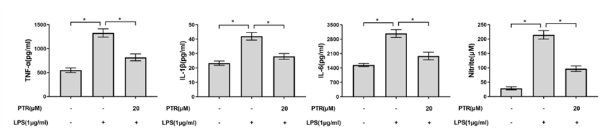 Experimental Validation Results for Pectolinarin