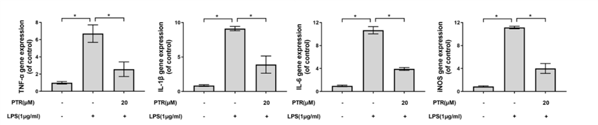 Experimental Validation Results for Pectolinarin