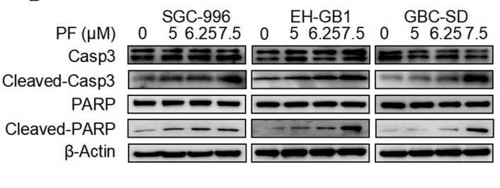 Experimental Validation Results for Penfluridol