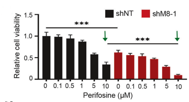 Experimental Validation Results for Perifosine