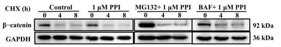 Experimental Validation Results for Polyphyllin I
