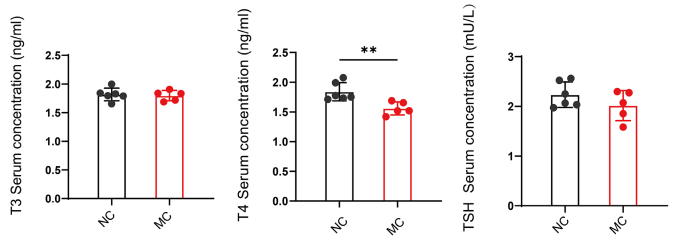 Experimental Validation Results for Propylthiouracil