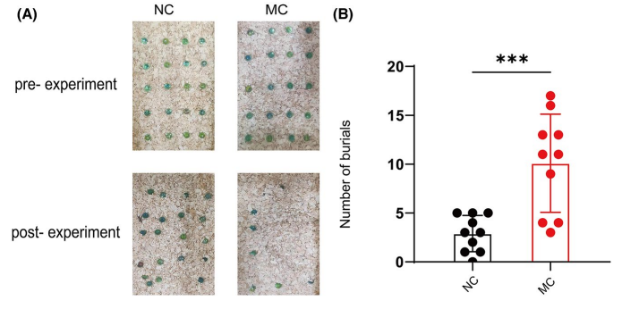 Experimental Validation Results for Propylthiouracil
