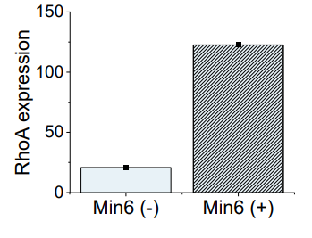 Experimental Validation Results for Pyrintegrin