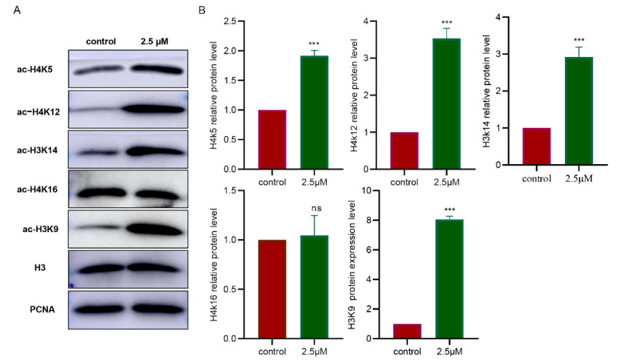 Experimental Validation Results for Pyroxamide