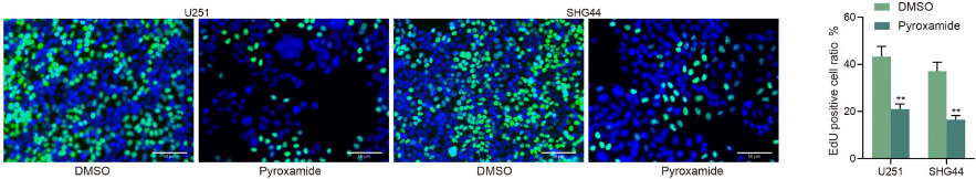 Experimental Validation Results for Pyroxamide
