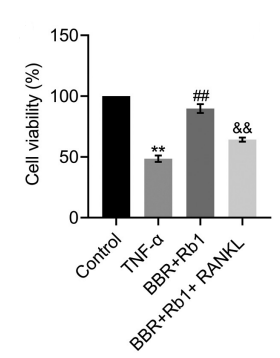 Experimental Validation Results for RANKL/TNFSF11 Protein, Human